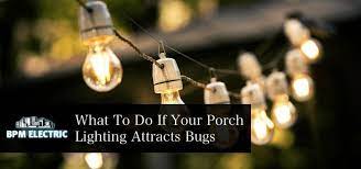 Porch Light Attracts Bugs