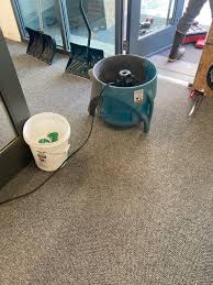 carpet rug cleaning equipment al