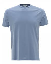 Mens Plain Basic T Shirt Classic Fit Cotton Fern Blue Tee