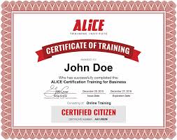 Alice Training Options Alice Training Institute
