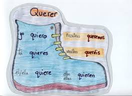 Conjugation Of Querer Photo