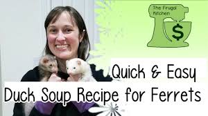 duck soup recipe for ferrets
