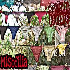 Misofilia