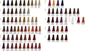 Schwarzkopf Igora Royal Hair Color Chart Swatch Sbiroregon Org