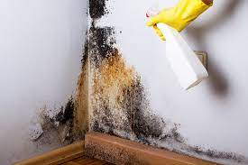 Mold On Your Walls Naturally
