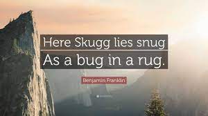 here skugg lies snug as a bug in a rug