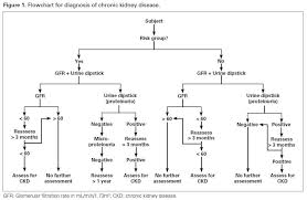 Chronic Kidney Disease Importance Of Early Diagnosis