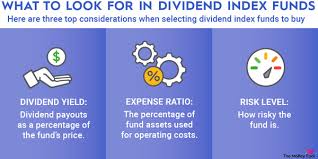 8 top index funds for dividends the