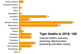 Tiger Deaths Hit The 100 Mark Again But Number Down From