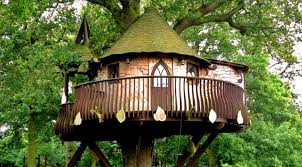 Cool Tree House Ideas To Take Your