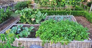 How To Create A Potager Garden An