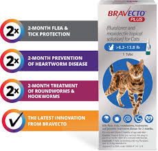 Bravecto Plus For Cats Flea Tick Heartworm Intestinal