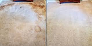 dalworth clean carpet cleaning gallery