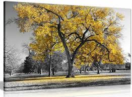 Large Tree Yellow Leaves Black White