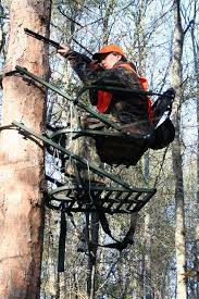 safe use of tree stands means a better