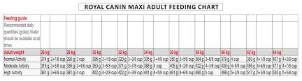 Royal Canin Maxi Adult 4 Kg Dog Food At Lowest Price In India