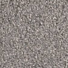 stainmaster upbeat winsome textured