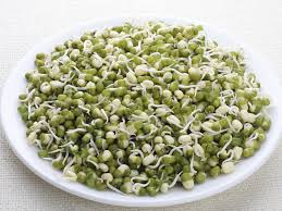 Is It Safe To Eat Bean Sprouts During Pregnancy Babycenter