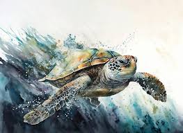 Ilration Sea Turtle Painted