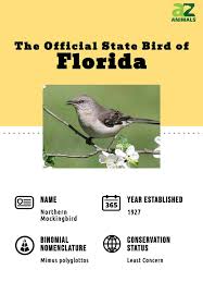 discover the official state bird of florida