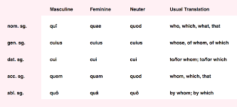 Google Latin Relative Pronouns Related Keywords