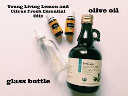 First start with your glass bottle and olive oil. Homemade Stainless Steel Cleaner For Appliances Family Focus Blog
