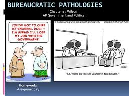 ppt bureaucratic pathologies