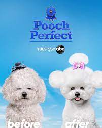 Click the link below to see what others say about pooch perfect: Pooch Perfect Watch A New Teaser For The Rebel Wilson Hosted Dog Grooming Competition Give Me My Remote Give Me My Remote