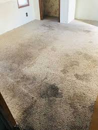 home matthews quality carpet cleaning