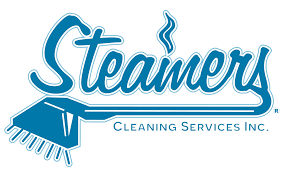 steam cleaning professionals in london on