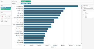 Tableau Sorted Bar Chart Showing Sales By Customer Ryan