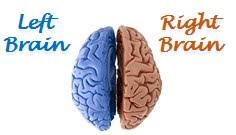 Left Brain And Right Brain Characteristics