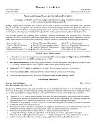 Sales And Operations Executive Resume