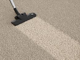 a1 budget carpet cleaning pest
