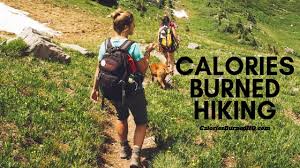 calories burned hiking calculator