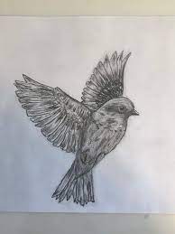 realistic bird drawing art amino