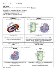 Eukaryotic organisms are those organisms which have true nucleus with nuclear and nucleolus and also contain all membrane bound cell organelles. Cell Review Ws Answers Schoolnotes