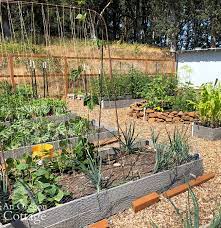 Grow Cucumbers On A Trellis