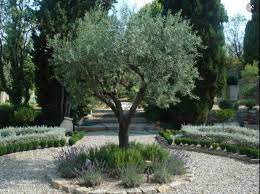Italianate Garden Italian Garden Ideas