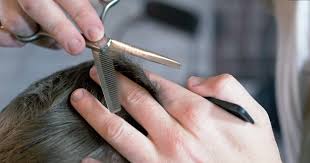 thinning scissor barber basics