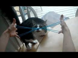 how to do cat whiskers with string