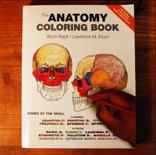 Anatomy and physiology coloring workbook answer key unique. Pdf Download The Anatomy Coloring Book Wynn Kapit Lawrence M Elson For Ipad Livros Fisioterapia