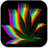 weed wallpapers 1 0 apk