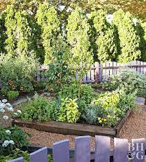 How To Start An Organic Vegetable Garden