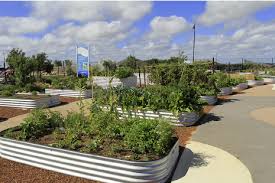 Community Gardens In Perth Offer Safe