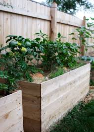 build a low cost cedar wood garden bed