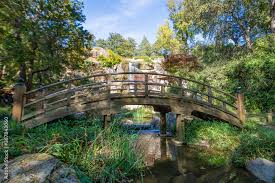 With Curved Bridge In Japanese Garden
