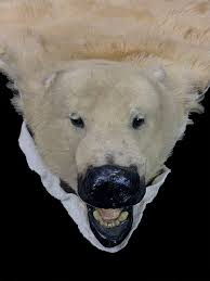 polar bear rug bischoff s s