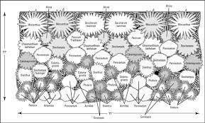 Designing Perennial Beds And Borders