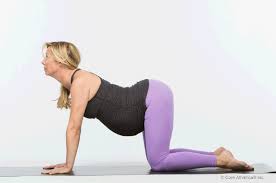 Yoga does two things while you're pregnant: Exercise And Pregnancy Five Ways To Get Rid Of Back Pain